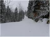 Občina - Sveti Vid (Vidovska planota)